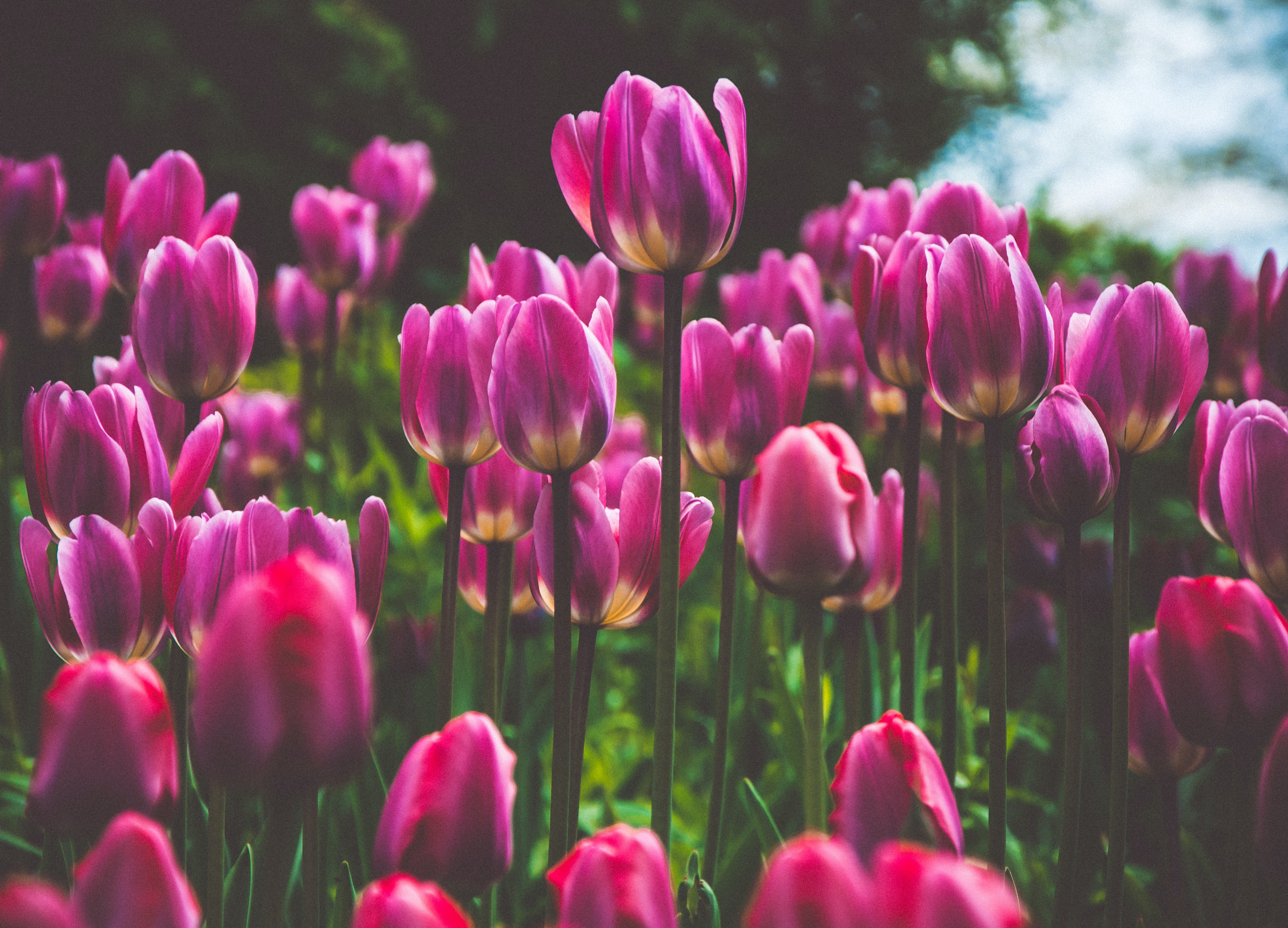 交通事故で弁護士に相談